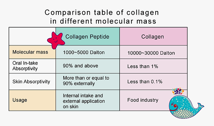 collagen-molecular-mass.png